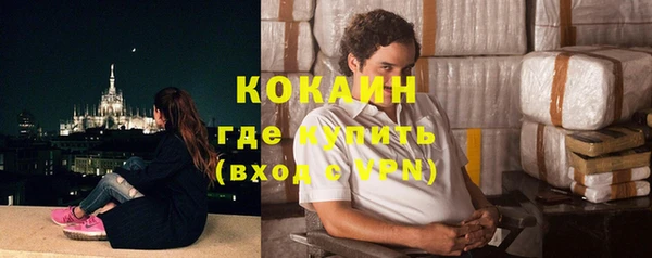 тгк Каменка