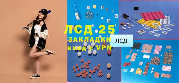 тгк Каменка