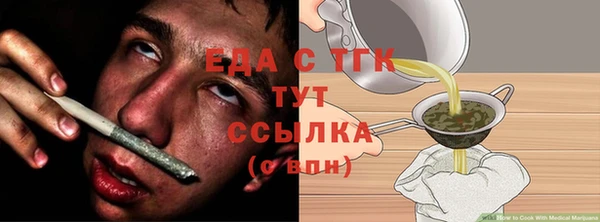 тгк Каменка