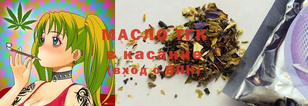 тгк Каменка