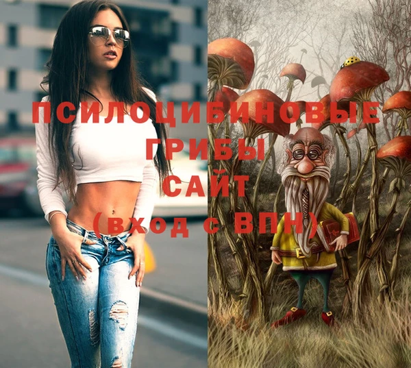 mdma Каменногорск