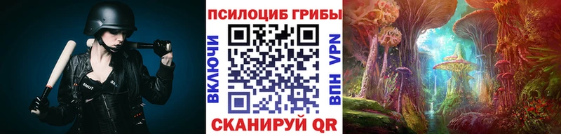 Псилоцибиновые грибы Cubensis  Купить  Игарка 